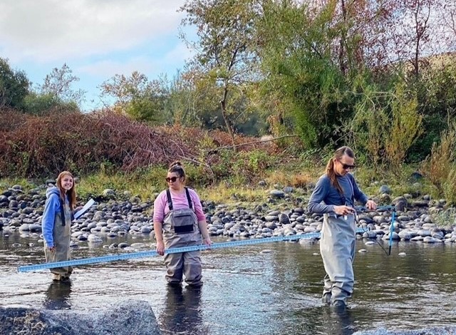 Three Forestry students wading in river. 