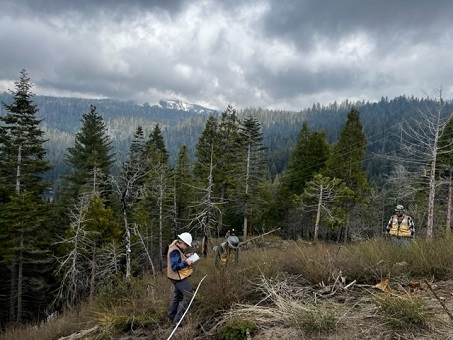 Three Students ivenstigating the vegetation on side of mountain.  