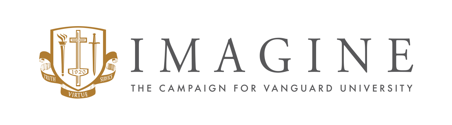 Imagine Campaign 