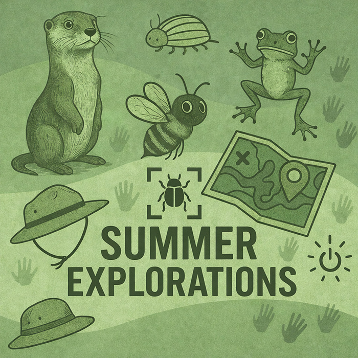 Summer Explorations