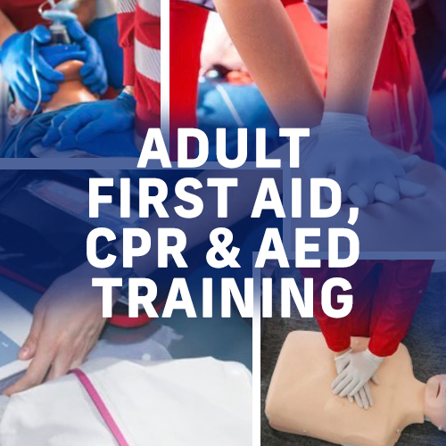 Adult First Aid, CPR, & AED Training