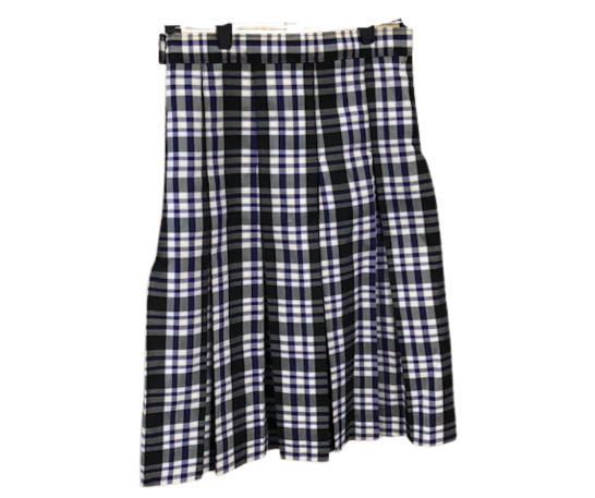 Box Pleat Skirt - Junior Waist Sized